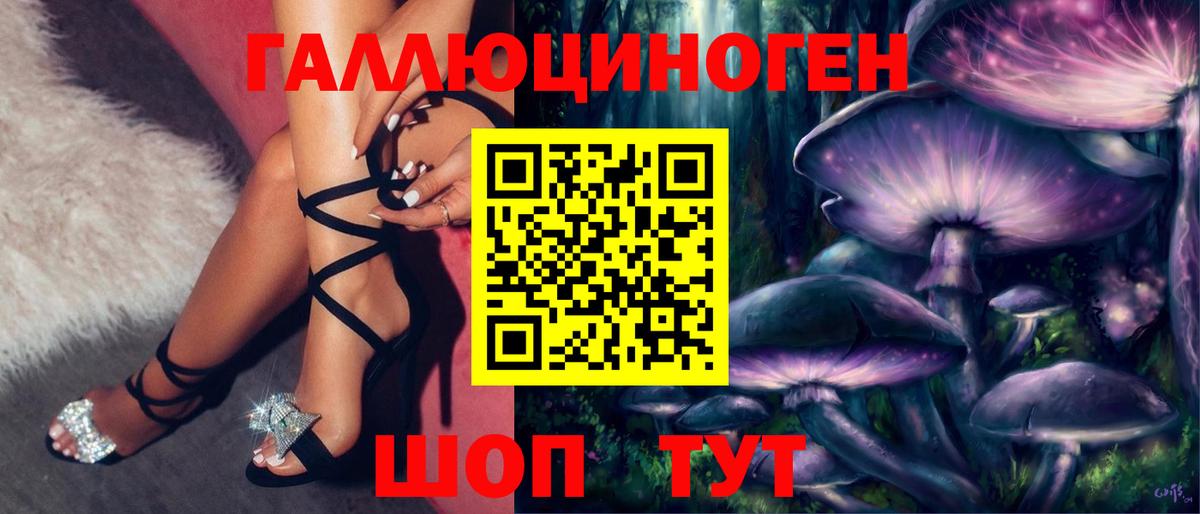 Галлюциногенные грибы Psilocybe Урай